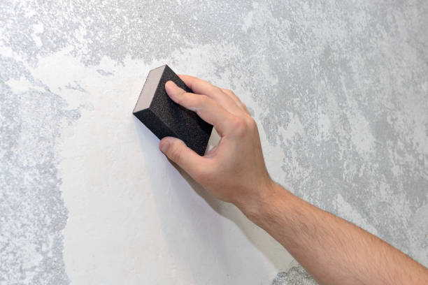 Best Mold Damage Restoration  in Eldersburg, MD