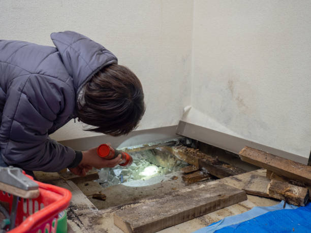 Best Asbestos and Lead Testing During Mold Inspection  in Eldersburg, MD