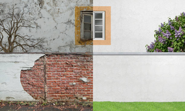 Best Industrial Mold Remediation  in Eldersburg, MD