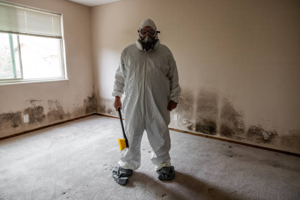 Best Emergency Mold Remediation  in Eldersburg, MD