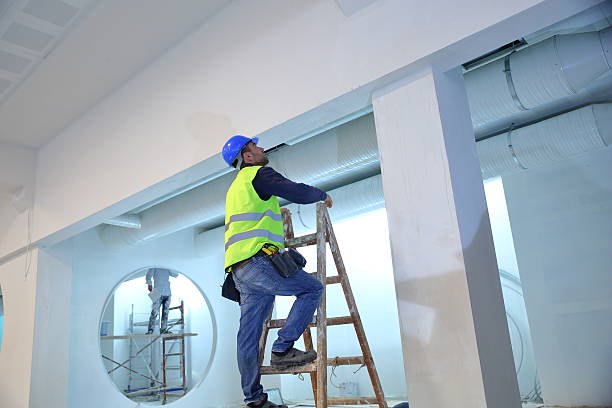 Best Black Mold Removal  in Eldersburg, MD