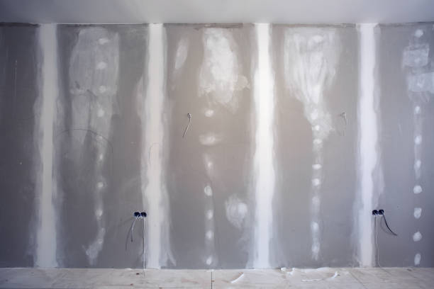 Best Industrial Mold Remediation  in Eldersburg, MD